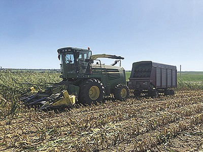 Nathan Franck’s first year of custom chopping included buying a head that would pick up corn downed by the August storm that devastated a section of Iowa and other Midwestern states. Franck dairy farms near Newhall, Iowa. PHOTO SUBMITTED