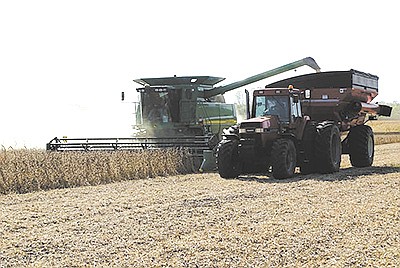 Neighbors harvest 170 acres of soybeans Oct. 6 at the Brewer family’s farm near Albany, Wisconsin. Neighbors poured in to help the Brewers complete the harvest in three hours. PHOTO SUBMITTED