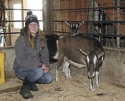 Tessa Gehri has two dairy goats at her family’s farm near Wonewoc, Wisconsin. The 17-year-old was the winner of the Wisconsin state goat proficiency and is one of the final four candidates in the national FFA contest.  PHOTO BY DANIELLE NAUMAN