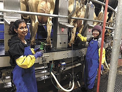 Ankita Rani (left) and Arubam Mona milk cows at the Brimeyers’ 480-cow dairy near Sherrill, Iowa. The two women from India spent a year with the Brimeyers to learn about agriculture in the United States. PHOTO SUBMITTED