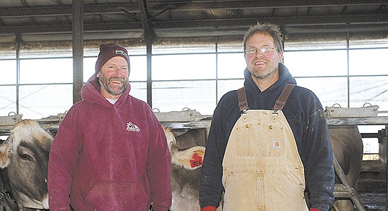 Steve (left) and Eric Armbruster handle the herd manager duties at Red Brae Dairy where they milk 320 cows, including 180 registered Brown Swiss, near Muscoda, Wisconsin.  PHOTO BY DANIELLE NAUMAN