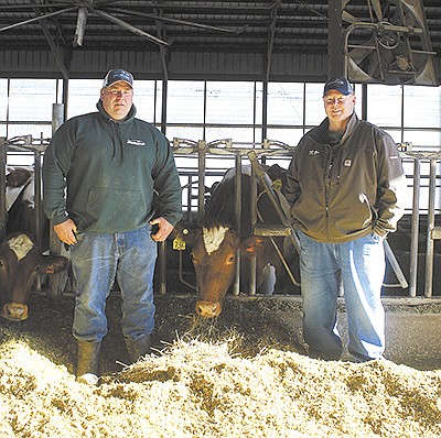 Kurt (left) and Scot Peterson operate Coulee Crest Farms where they milk 240 cows, including 80 Guernseys, near Cashton, Wisconsin. They recently had their sixth cow from one cow family land in the top spot on the American Guernsey Association’s Top 200 CPI Cows list.  PHOTO BY DANIELLE NAUMAN