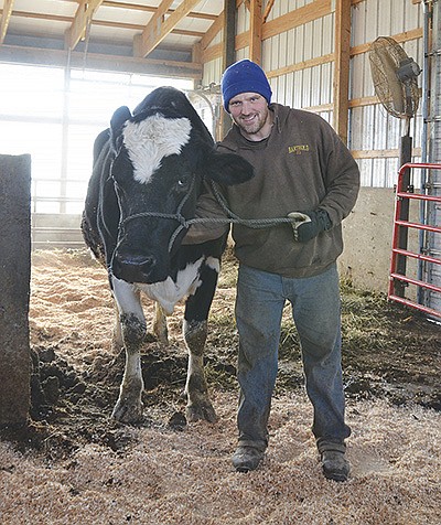 Eric Sonnek and his cow, Charlie, stand in the barn Dec. 2 on his 90-cow dairy near Foreston, Minnesota. The 13-year-old registered Holstein’s legacy lives on through her generations of offspring.  PHOTO BY DANNA SABOLIK