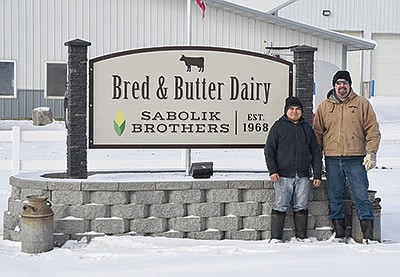Tony (left) and Greg Sabolik manage the breeding on Sabolik’s family’s farm, Bred & Butter Dairy LLC, near Kensington, Minnesota. Tony is the head breeder on the 500-cow dairy. PHOTO BY DANNA SABOLIK