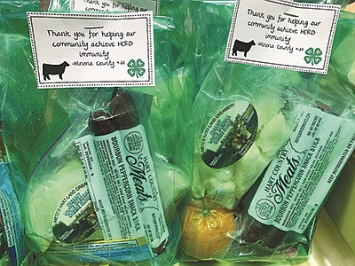 Winona County 4-H youth gave out these goodie bags filled with cheese, beef sticks, fruit and granola bars to workers at vaccine clinics in the county. PHOTO SUBMITTED