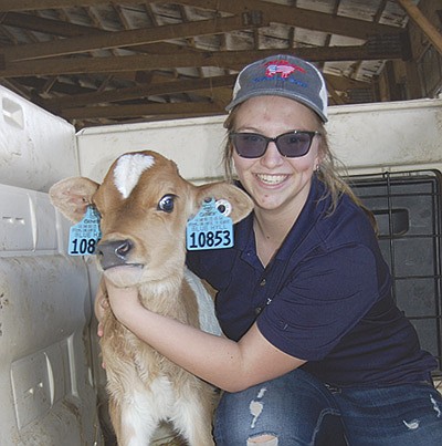 Hillary Burken, 17,  holds the latest calf from one of her 4-H animals at her family’s 1,200-cow dairy in Clinton County near Clinton, Iowa. Burken is the reproductive manager and general hired hand at Blue Hyll Dairy. PHOTO BY SHERRY NEWELL