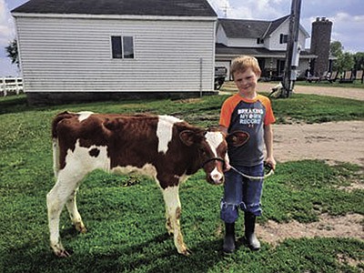 Zander Hoen practices leading his fair calf, Fire, on his family’s 65-cow dairy near Norwood Young America, Minnesota. Zander is the son of Michelle and Steve Hoen. PHOTO SUBMITTED