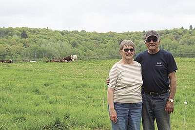 Rozanne and Vince Ruzic founded RoVin Acres Milking Shorthorns in 1974 in Hixton, Wisconsin. They continue their involvement in the breed today.  PHOTO BY DANIELLE NAUMAN/DAIRY STAR