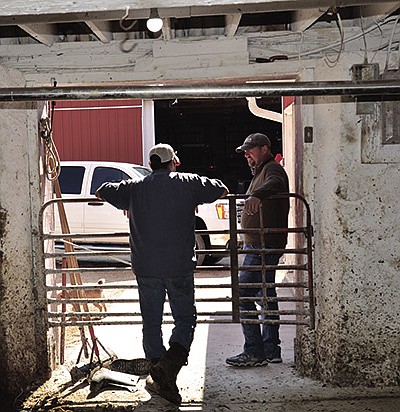 Tim Prosser talks to a neighbor, Alan Thorson, about cutting a hay field for Thorson’s sheep during morning milking. PHOTO BY STACEY SMART/DAIRY STAR