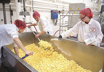 Students at the University of Wisconson-River Falls prepare the last batch of cheese in the original plant on campus before the renovation began earlier this year.   PHOTO SUBMITTED