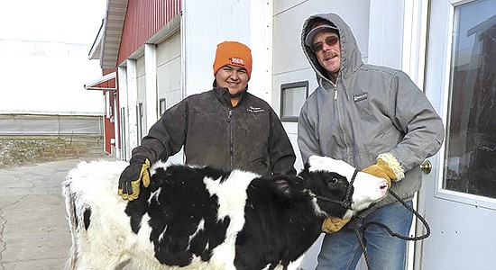 Nicolas Fonder, of Milbank, South Dakota, receives the heifer calf from Dairy Star’s Great Christmas Grand Prize Giveaway drawing from Paul Swenson Dec. 18 near Nicollet, Minnesota. Fonder registered at Valley Dairy Supply in Corona, South Dakota. PHOTO BY RUTH KLOSSNER