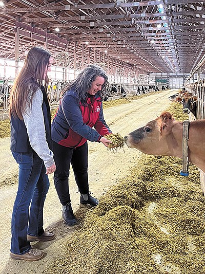 Nicole Gudenkauf (left) and Dr. Gail Carpenter observe feed for Iowa State University’s dairy herd in Ames, Iowa. Gudenkauf is one of the students participating in the independent study project in which students are beginning to manage the Jerseys at the ISU Dairy Farm. PHOTO BY SHERRY NEWELL