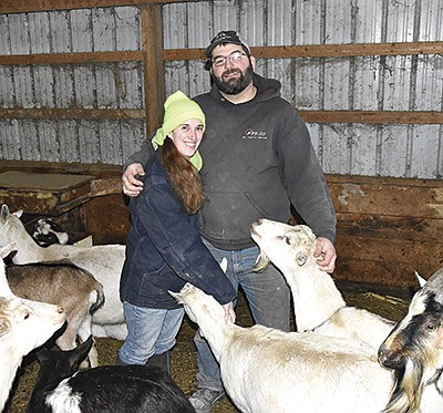 Sarah and Marc Dammann milk 180 goats on their farm near Glencoe, Minnesota. The Dammanns began milking goats in 2009. PHOTO BY MARK KLAPHAKE