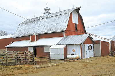 Tim Berning milks in a stanchion barn at his farm near Galena, Illinois. Berning seasonal calves his herd to avoid the harsh winters of Daviess County, Illinois. PHOTO BY ABBY WIEDMEYER
