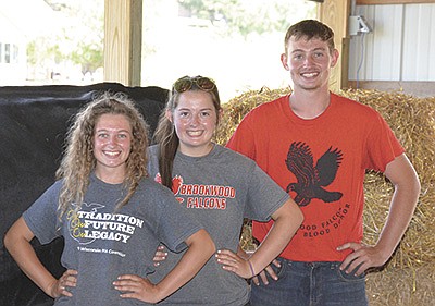 The Clark siblings – (from left) Peyton, Payge and Payne – stand in the barn at the Elroy Fair June 24 near Elroy, Wisconsin. The siblings brought seven animals to show at the fair. PHOTO BY ABBY WIEDMEYER