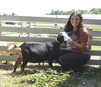 Megan Silbaugh is pictured with one of her goats on June 29. Silbaugh raises, milks and shows 32 Nigerian Dwarf goats on her parent’s farm near Lyle, Minnesota. PHOTO BY