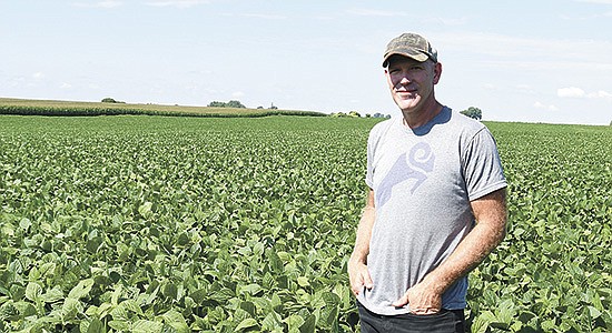 Robb Miller stands in a field of soybean which was planted after triticale this spring. Miller and his brother, Luke, were announced as the Winona County Outstanding Conservationist July 7.  PHOTO BY KATE RECHTZIGEL
