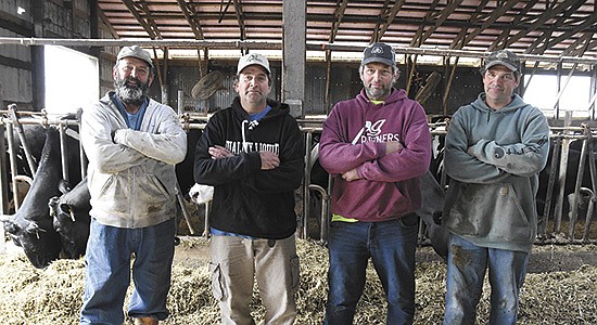 The Saemrow brothers Ron (from left), Gordon, Keith and Wayne stand in their freestall barn Sept. 30 near Waterville, Minnesota. They were the Rice County Farm Family of the Year and milk 750 Holstein cows. PHOTO BY TAYLOR JERDE