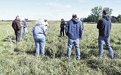 Producers gather to discuss grazing management during a pasture walk Sept. 22 on Walter Organic Family Farms near Villard, Minnesota. The Walter family has been piloting PaddockTrac, which measures forage growth.  PHOTO BY GRACE JEURISSEN
