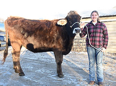Caylee Seedorf stands with her heifer Jordy Dec. 5 at her family’s farm near Perham, Minnesota. Caylee won Jordy in Dairy Star’s Great Christmas Giveaway in 2020.  PHOTO BY MARK KLAPHAKE