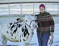 Jody Nus won the Dairy Star’s Great Christmas Heifer Giveaway grand prize, Sheeknoll Kingboy  2615, also known as Henny. Nus and her husband, Nathan, milk 40 cows near Arlington, Iowa.<br /><!-- 1upcrlf -->PHOTO BY KRISTA KUZMA