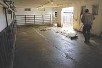 <p style="margin: 0.0px 0.0px 0.0px 0.0px; text-align: justify; font: 10.0px 'News Gothic MT';"><strong>Ray Muellner scrapes the single-10 flat parlor around 10:30 a.m. Muellner has been working for Lindquist for three years. (Photo by Jennifer Burggraff)</strong></p>