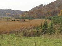 A natural area of the Gredens’ land. Along with raising 850 acres of corn and 400 acres of alfalfa, the Gredens manage 500 acres of pasture, natural land and woodland.  Photo submitted