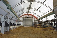 The Kellers’ hoop barn has helped keep their calves healthier by creating a more controlled environment. In addition to having individual stalls for calves still on milk (left), there is a pen for after the calves are they are weaned (right).<br /><!-- 1upcrlf -->PHOTO BY KRISTA M. SHEEHAN