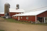 The Carlson brothers milk in the same barn where they started dairying. After renting from their parents for their first years in the business, they bought the farm after making improvements to it.<br /><!-- 1upcrlf -->PHTO BY KRISTA M. SHEEHAN