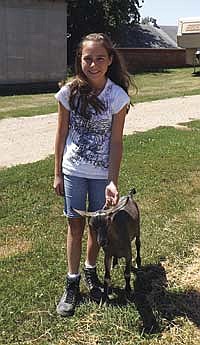 Kaylee Athey, (12), stands with Rue, a goat she will be showing at the Big Stone County Fair. A few years ago, the Athey family added something new to their 4-H tradition when they began to show goats.<br /><!-- 1upcrlf -->PHOTO BY JERRY NELSON