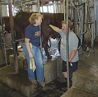 Anne and Bernie Manderfeld talk during one evening milking. The couple met when Anne, who is a veterinarian, stopped for a call at the farm in 1993. They now milk 105 cows on their farm in Steele County near Faribault, Minn. <br /><!-- 1upcrlf -->PHOTO BY KRISTA SHEEHAN