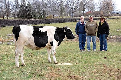The Rickemans milk 80 registered Holsteins