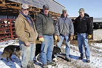 A dairy herd, feeder steers and hogs are all part of the Menke family’s Grant County operation in Highland, Wis. Here (left to right) Kurt and his father, Bob, along with Bob’s brothers, Jerry and Jim, show their open-sided beef barn and feedlot.<br /><!-- 1upcrlf -->PHOTO BY RON JOHNSON