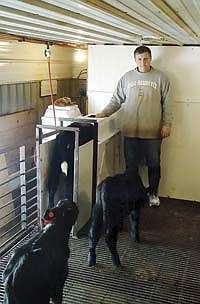 Jeff Schutte and his son, John, (not pictured) use heated, slatted floors and automatic calf feeders when caring for their calves. The Schuttes farm near Readlyn, Iowa.<br /><!-- 1upcrlf -->PHOTO SUBMITTED