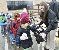 Dairy ambassador, Mackenzie Uter, holds the baby calf as the kindergartners line up to pet the calf during their ag literacy presentation on March 15 at Good Shepherd School in Golden Valley, Minn. <br /><!-- 1upcrlf -->PHOTO BY MISSY MUSSMAN