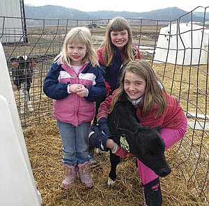 The Sebraneks have three children; from left, Kaitlyn, Kortney and Kylee. The family milks 300 cows in Richland County near Bear Valley, Wis.<br /><!-- 1upcrlf -->PHOTO SUBMITTED