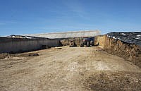 Bunkers hold a majority of the forages on the Hammells farm.  They added them in 2003. <br /><!-- 1upcrlf -->PHOTO BY KRISTA SHEEHAN