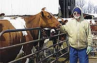 Dennis Gransee has bred strong working cattle that combine good type and production. He milks 60 cows near Sanborn, Minn. <br /><!-- 1upcrlf -->BY RUTH KLOSSNER