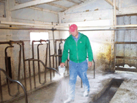Mark Sitma spreads lime in the 17 stanchion milking barn he leases from his former bosses, Galen and Jeanne Breuer. “Things are going great so far,” Sitma said, who also purchased the Breuers’ dairy herd. Sitma purchased a minimal amount of equipment from the Breuers. He leases other needed items such as a tractor and feeder wagon. (photo by Jerry Nelson) 