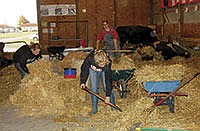 Maria (left) and Angela Molitor (right) clean up the barn and bed the stalls as Maggie and Abby wash the cows on the morning of Aug. 1. <br /><!-- 1upcrlf -->PHOTO BY JENN JANAK