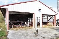 The Jopps built a new calf barn two years ago. It consists of two larger pens for the weaned calves and 18 individual stalls equipped with heated floors.<br /><!-- 1upcrlf -->PHTOO BY MISSY MUSSMAN