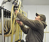 LeRoy Mickelson grabs a milker before milking on Nov. 27. The new milking units have automatic takeoffs to make milking more consistent.<br /><!-- 1upcrlf -->PHOTO BY MISSY MUSSMAN